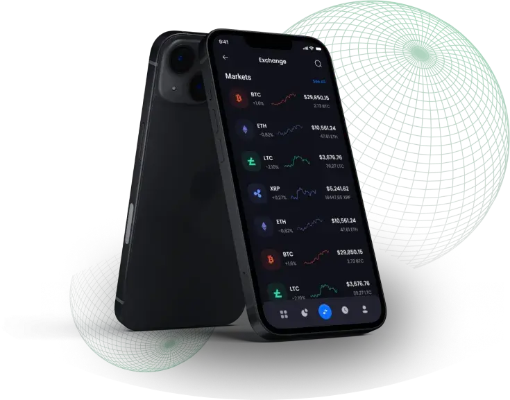 RonexisPro - Is RonexisPro capable of supporting greater financial inclusion?